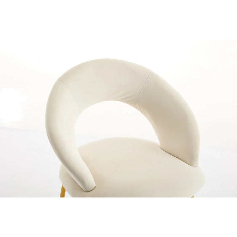 Chaises de salle à manger d'appoint en velours avec dossier incurvé et pieds en métal doré - Capacité de 113 kg